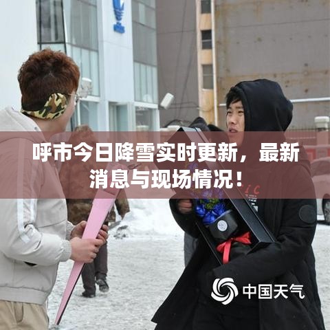 呼市今日降雪实时更新，最新消息与现场情况！