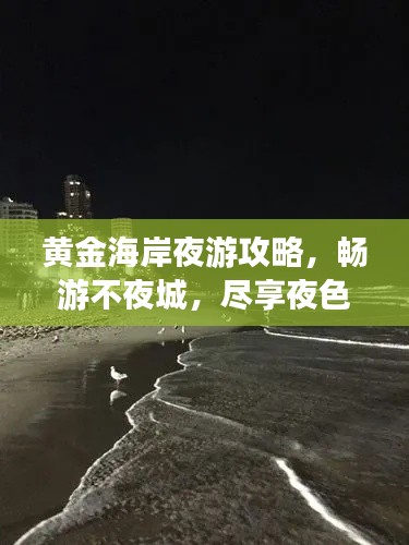 黄金海岸夜游攻略，畅游不夜城，尽享夜色之美！