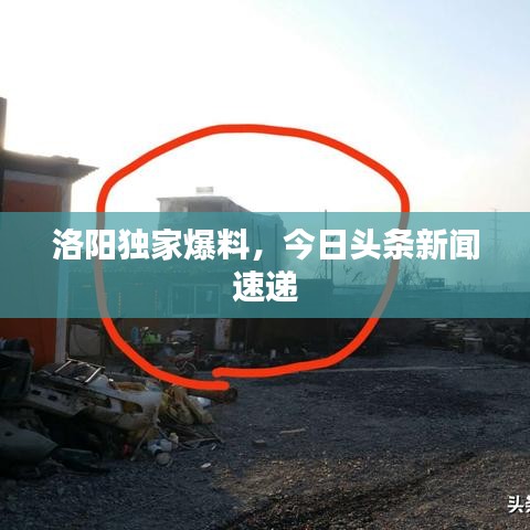 企业文化 第141页