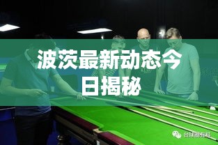 波茨最新动态今日揭秘