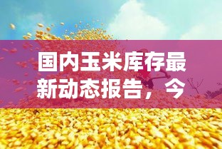 夫妻本是同 第2页