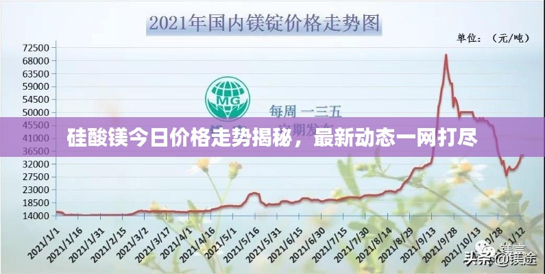 硅酸镁今日价格走势揭秘，最新动态一网打尽