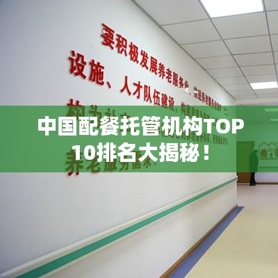 中国配餐托管机构TOP10排名大揭秘！
