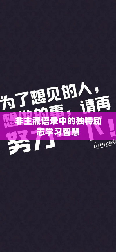 非主流语录中的独特励志学习智慧