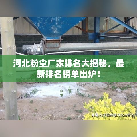 河北粉尘厂家排名大揭秘，最新排名榜单出炉！