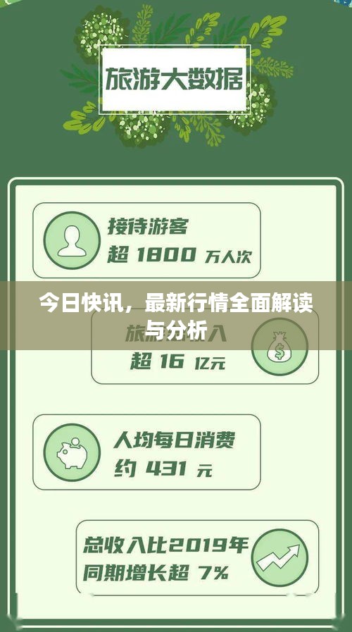 今日快讯，最新行情全面解读与分析