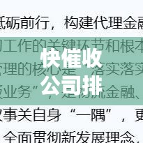 快催收公司排名揭晓，行业领导者及其成功秘诀！