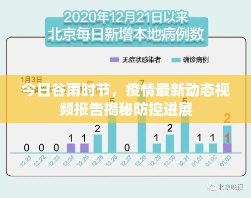 今日谷雨时节，疫情最新动态视频报告揭秘防控进展