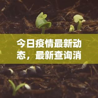 今日疫情最新动态，最新查询消息汇总