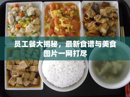 员工餐大揭秘，最新食谱与美食图片一网打尽