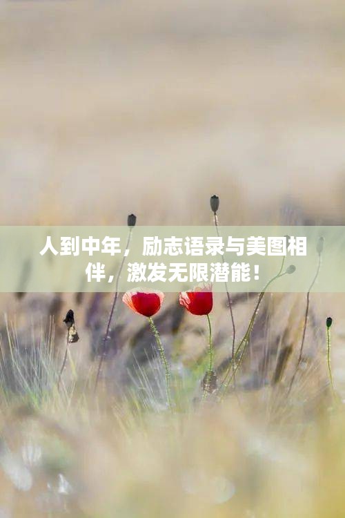 人到中年，励志语录与美图相伴，激发无限潜能！