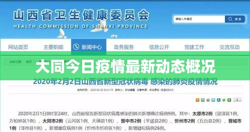 大同今日疫情最新动态概况