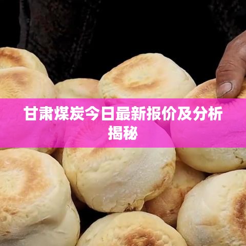 甘肃煤炭今日最新报价及分析揭秘