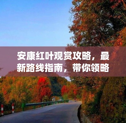 安康红叶观赏攻略，最新路线指南，带你领略醉美秋色！