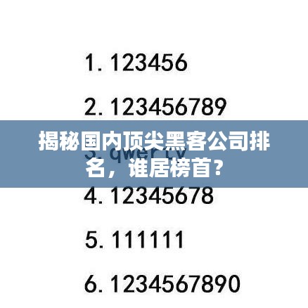 揭秘国内顶尖黑客公司排名，谁居榜首？