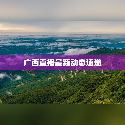 广西直播最新动态速递