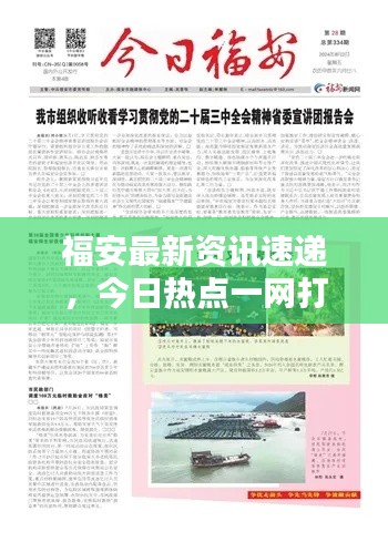 福安最新资讯速递，今日热点一网打尽！