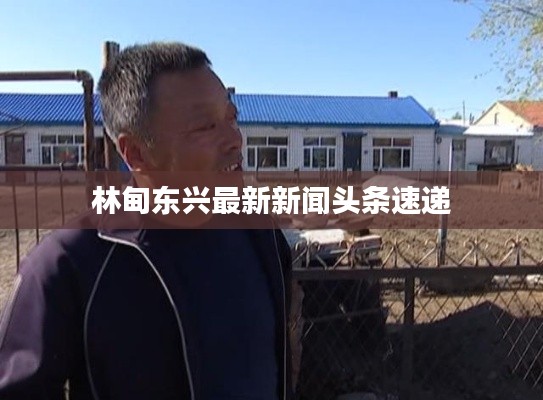 林甸东兴最新新闻头条速递