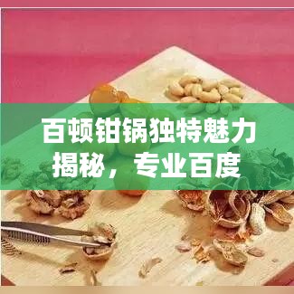 百顿钳锅独特魅力揭秘，专业百度收录，一键了解详情