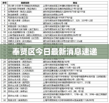 奉贤区今日最新消息速递