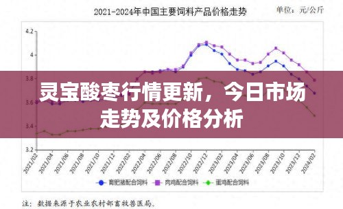 灵宝酸枣行情更新，今日市场走势及价格分析