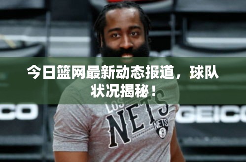 今日篮网最新动态报道，球队状况揭秘！