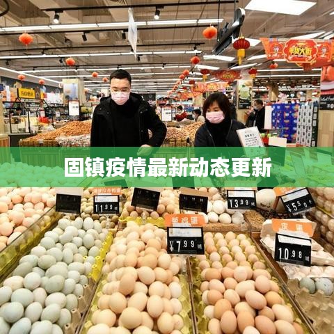 固镇疫情最新动态更新