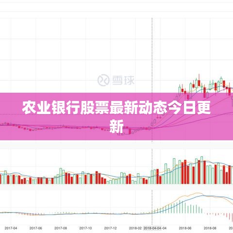 农业银行股票最新动态今日更新