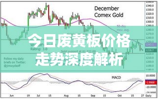 今日废黄板价格走势深度解析