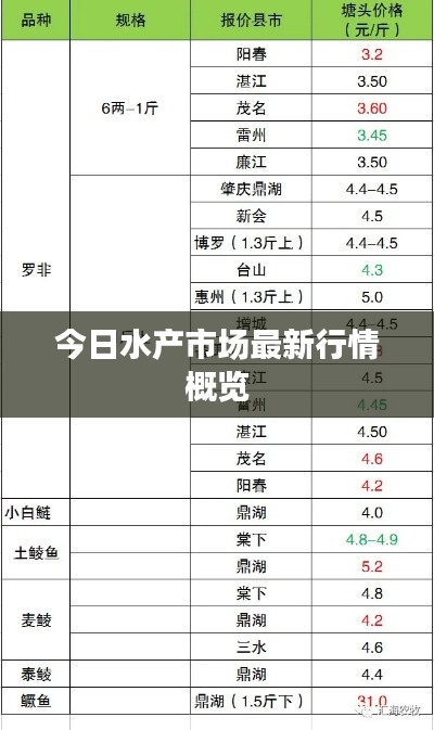 今日水产市场最新行情概览