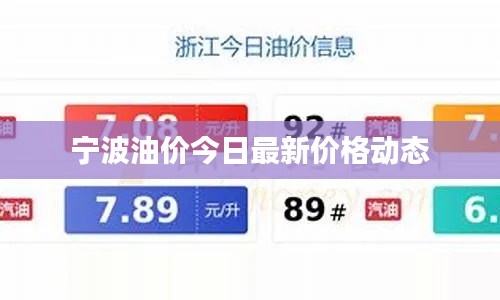 宁波油价今日最新价格动态