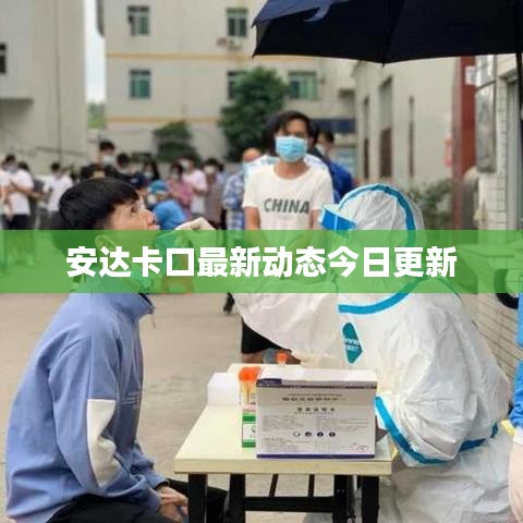 衣无二彩 第2页