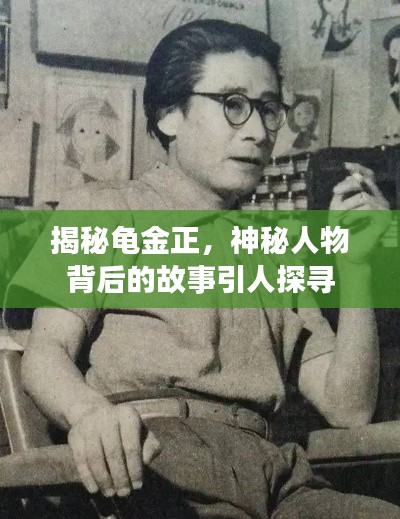 揭秘龟金正，神秘人物背后的故事引人探寻