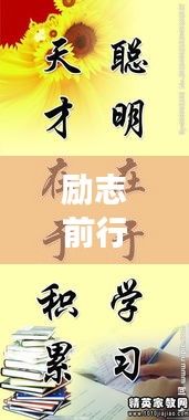 励志前行，粮食的力量与视频语录分享