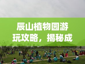 辰山植物园游玩攻略，揭秘成都绿色宝藏之旅
