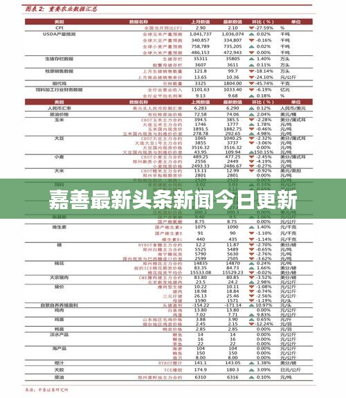 嘉善最新头条新闻今日更新