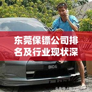 东莞保镖公司排名及行业现状深度解析