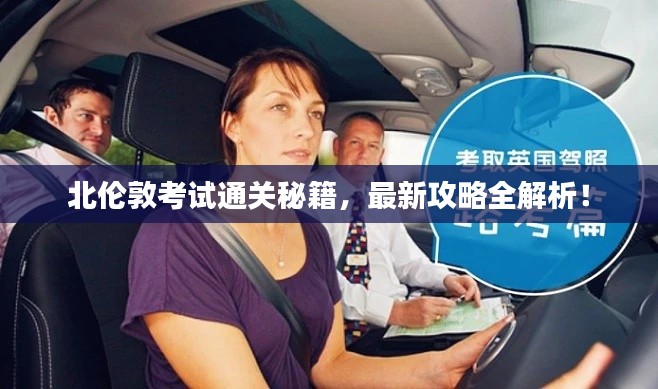 北伦敦考试通关秘籍，最新攻略全解析！