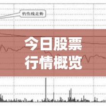 今日股票行情概览，最新图片与走势分析