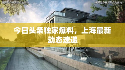 今日头条独家爆料，上海最新动态速递
