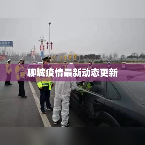 聊城疫情最新动态更新