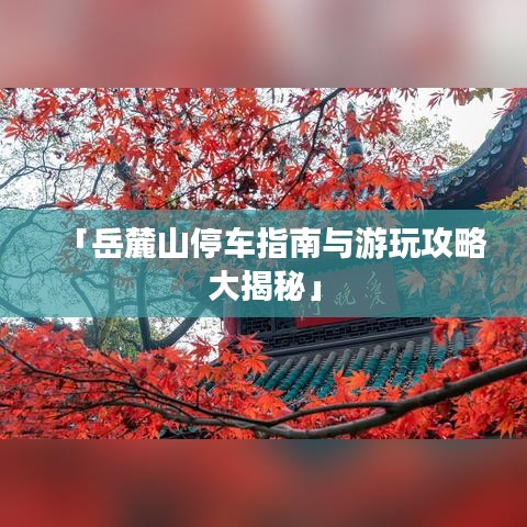 「岳麓山停车指南与游玩攻略大揭秘」