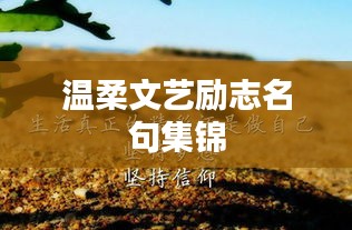温柔文艺励志名句集锦