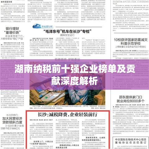 湖南纳税前十强企业榜单及贡献深度解析