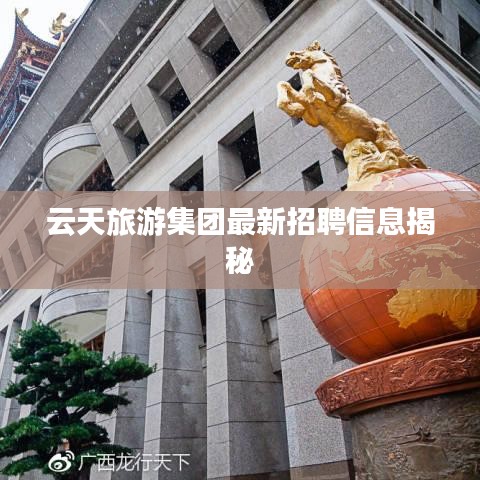 云天旅游集团最新招聘信息揭秘