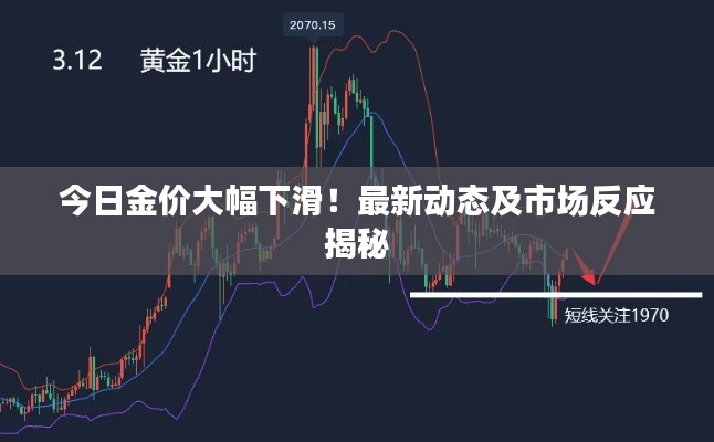 今日金价大幅下滑！最新动态及市场反应揭秘