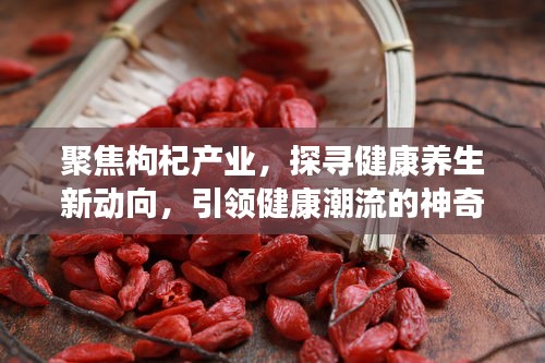 聚焦枸杞产业，探寻健康养生新动向，引领健康潮流的神奇果实