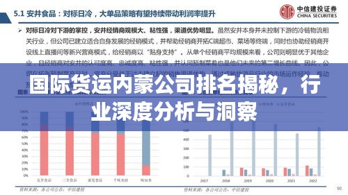 国际货运内蒙公司排名揭秘，行业深度分析与洞察