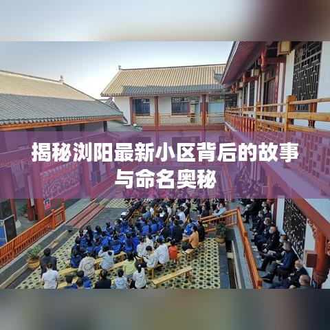花样新翻 第2页