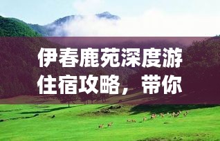 伊春鹿苑深度游住宿攻略，带你体验别样自然之旅！